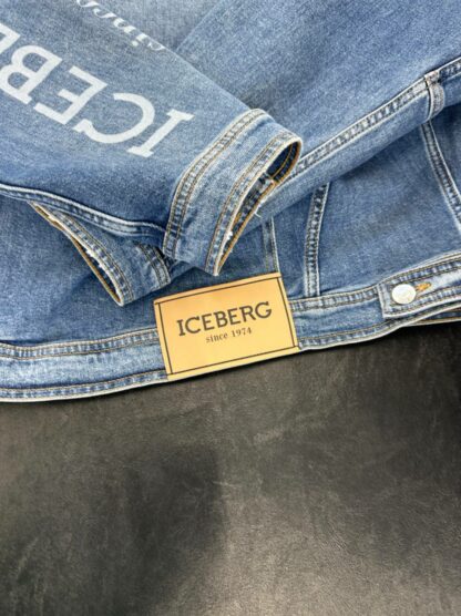 Iceberg 18496