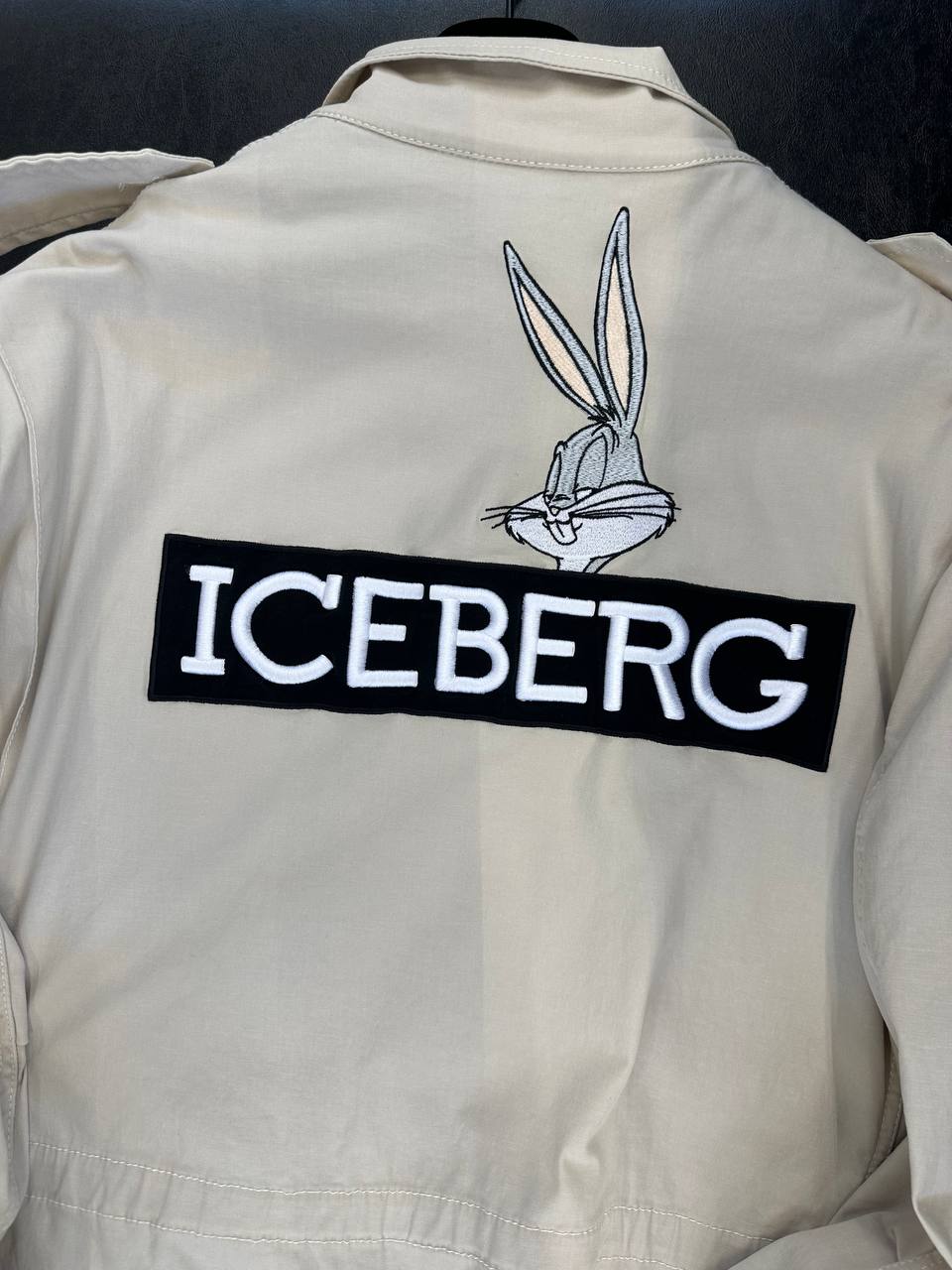 Iceberg 18501