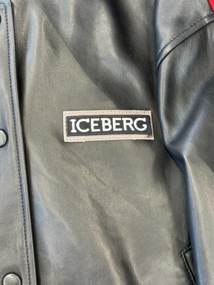 Iceberg 18866