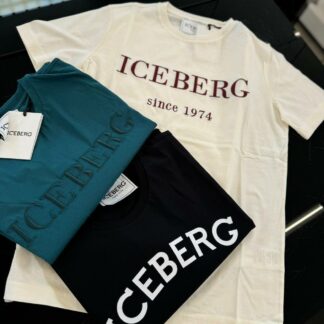 Iceberg 20413