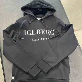 Iceberg 21461