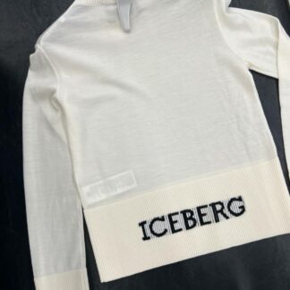 Iceberg 22039